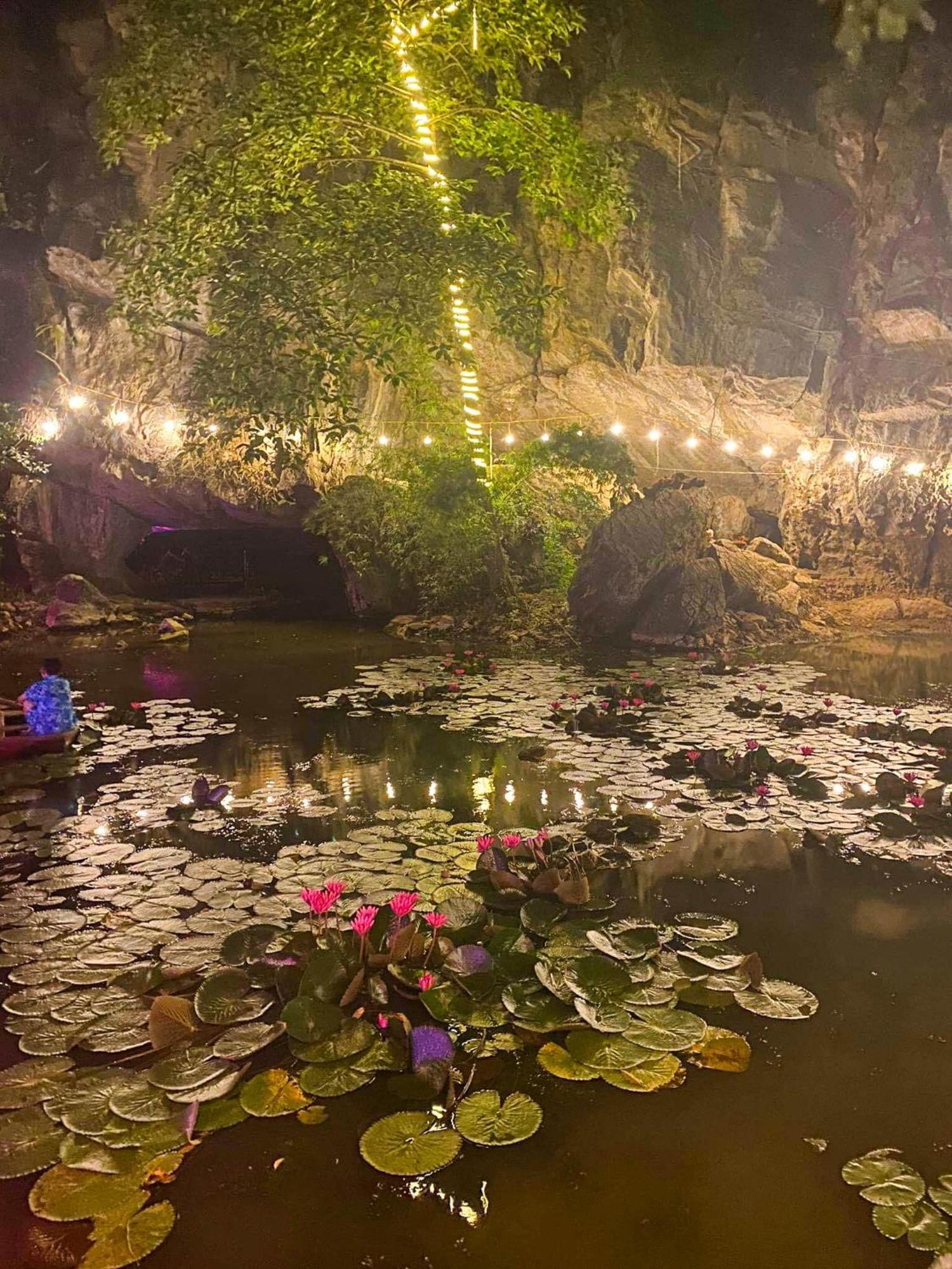 Tam Coc Rocky Bungalow نينه بينه المظهر الخارجي الصورة